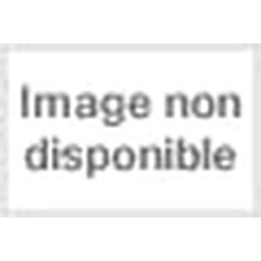 Ladies' Sunglasses Etro ETRO 0118_S