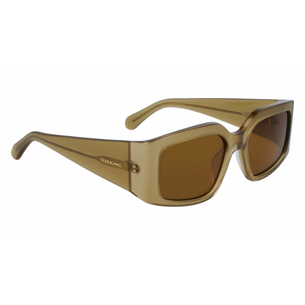 Ladies' Sunglasses Salvatore Ferragamo SF1101S-5418330 ø 54 mm