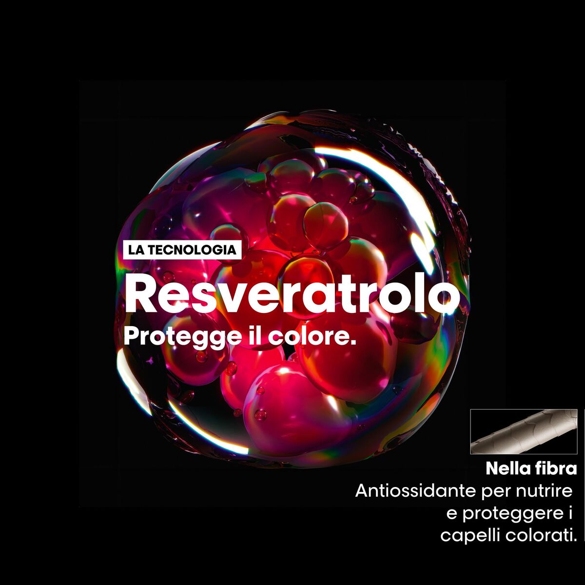 Hair Dressing Set L'Oreal Professionnel Paris VITAMINO COLOR 2 Pieces