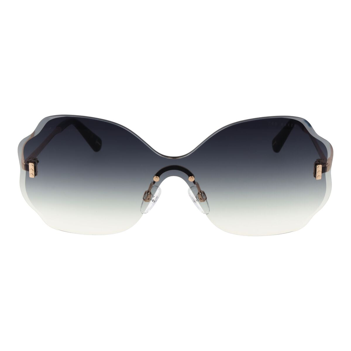 Ladies' Sunglasses Ted Baker TB1716 142401
