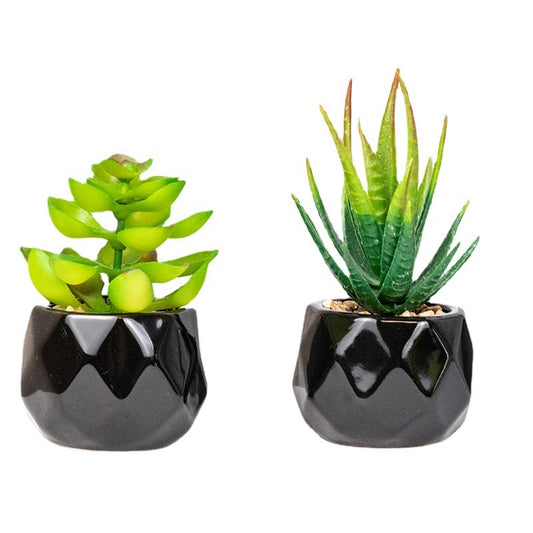 Artificial Green Plant Succulent