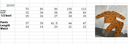 Bone Dragon Floral Print Long Sleeve Pullover Two-piece Set