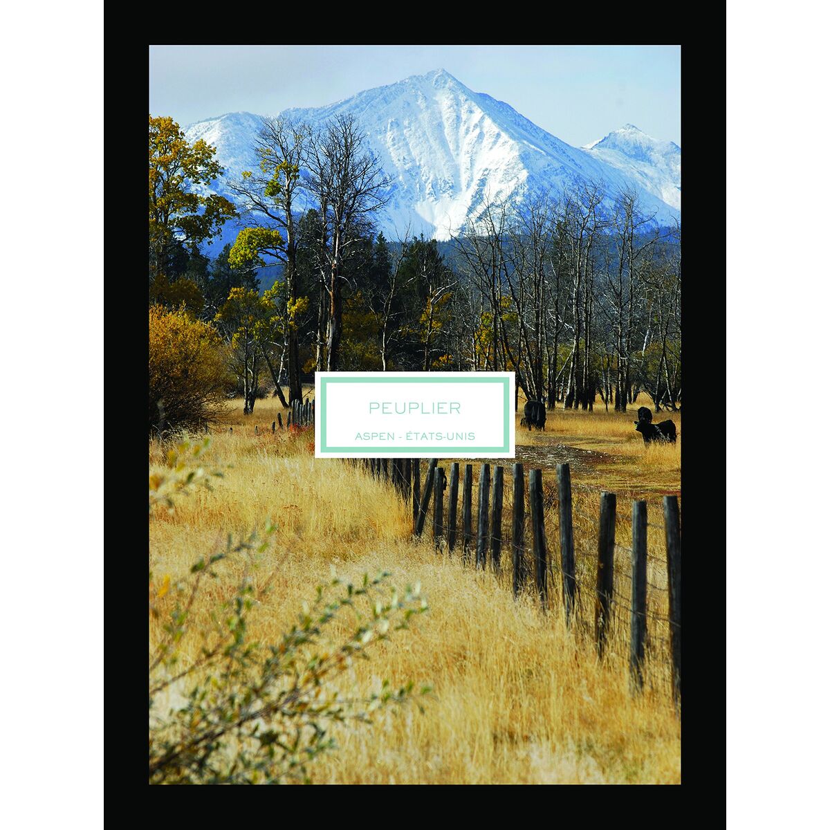 Scented Candle Lalique