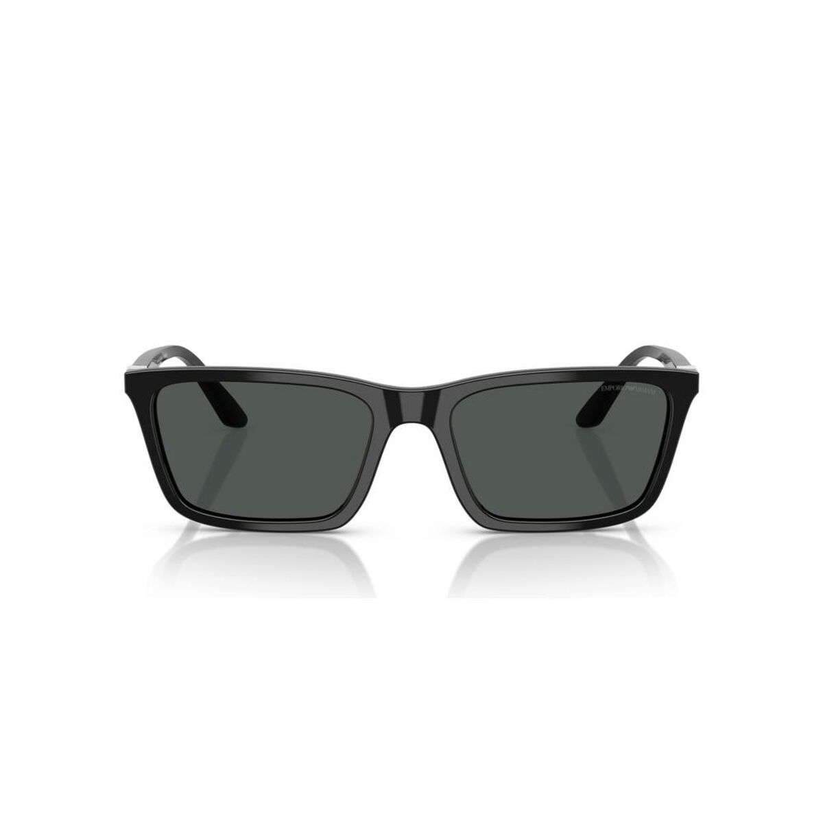 Ladies' Sunglasses Emporio Armani EA 4239U