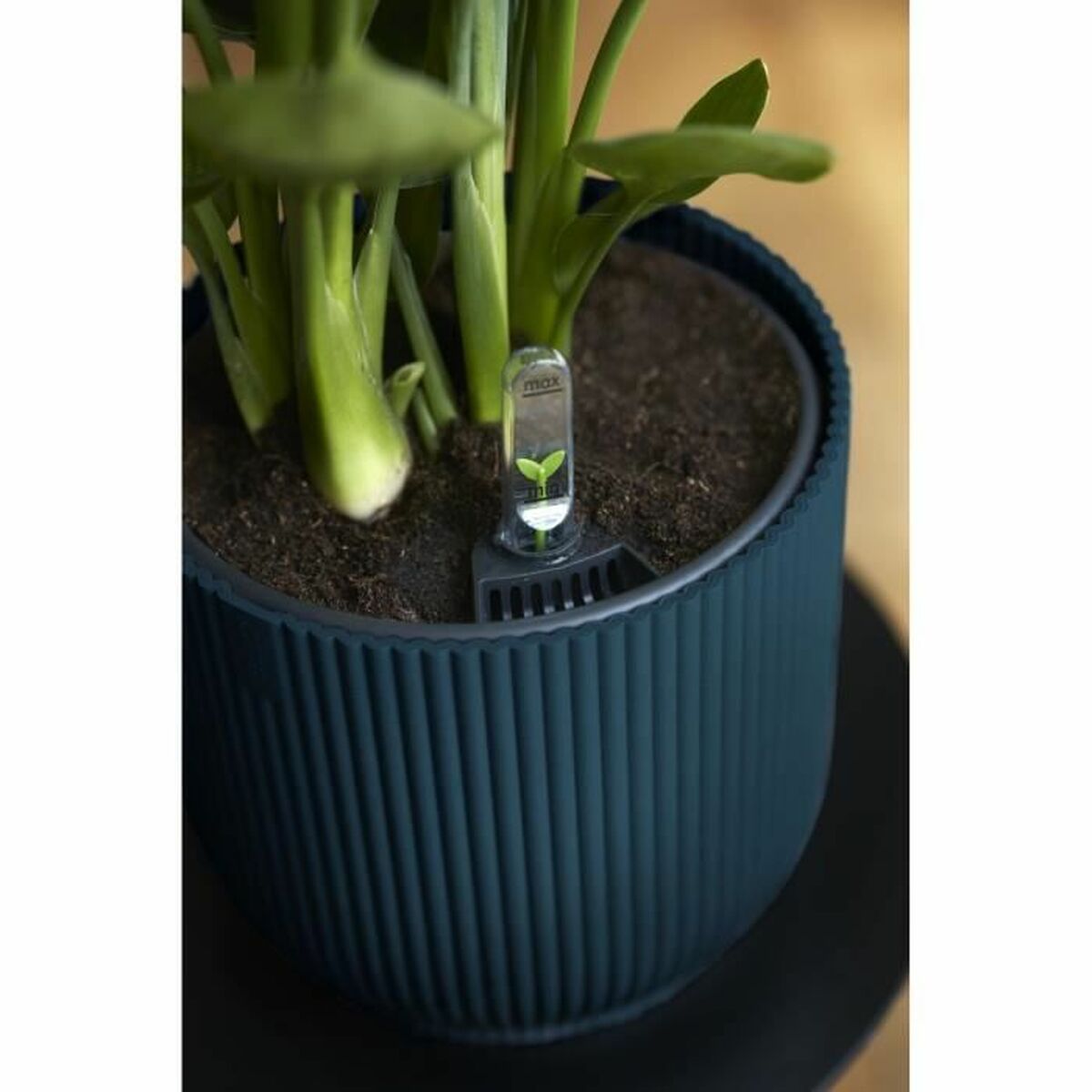 Plant pot Elho Ø 22 cm Circular Dark blue Plastic