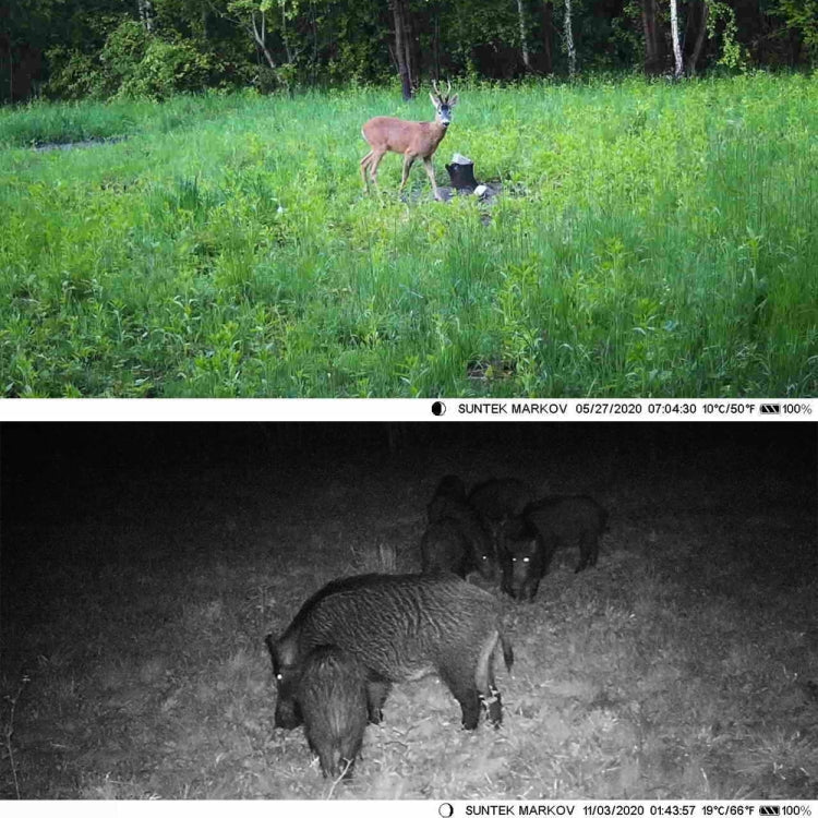 Suntek HC-801A 2.7K Outdoor Tracking Camera Infrared Night Vision Monitoring Camera