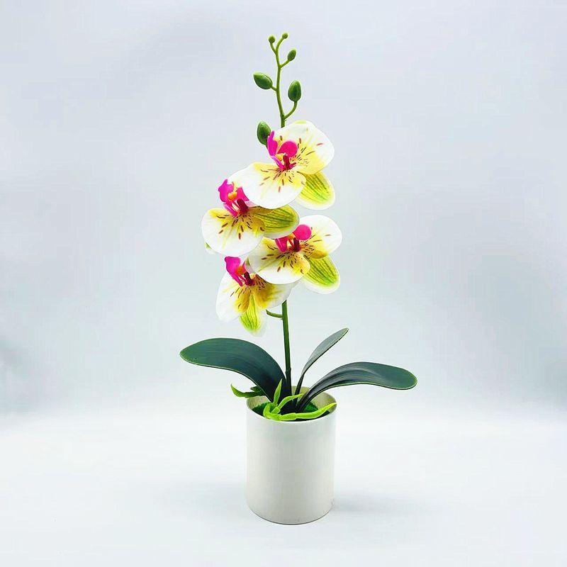 Bonsaï simulé Fleur artificielle Orchidée papillon simulée