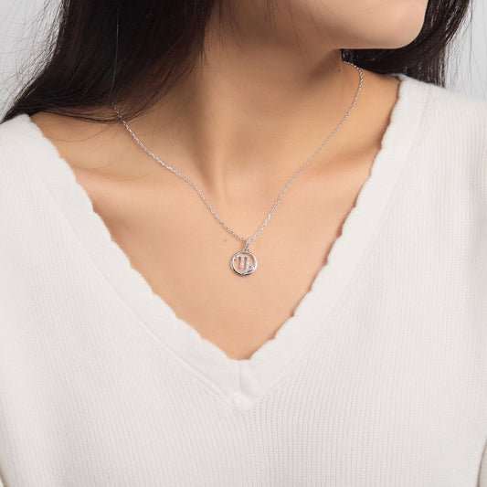 Capricorn Star Sign Zodiac Necklace with Zircondia® Crystals