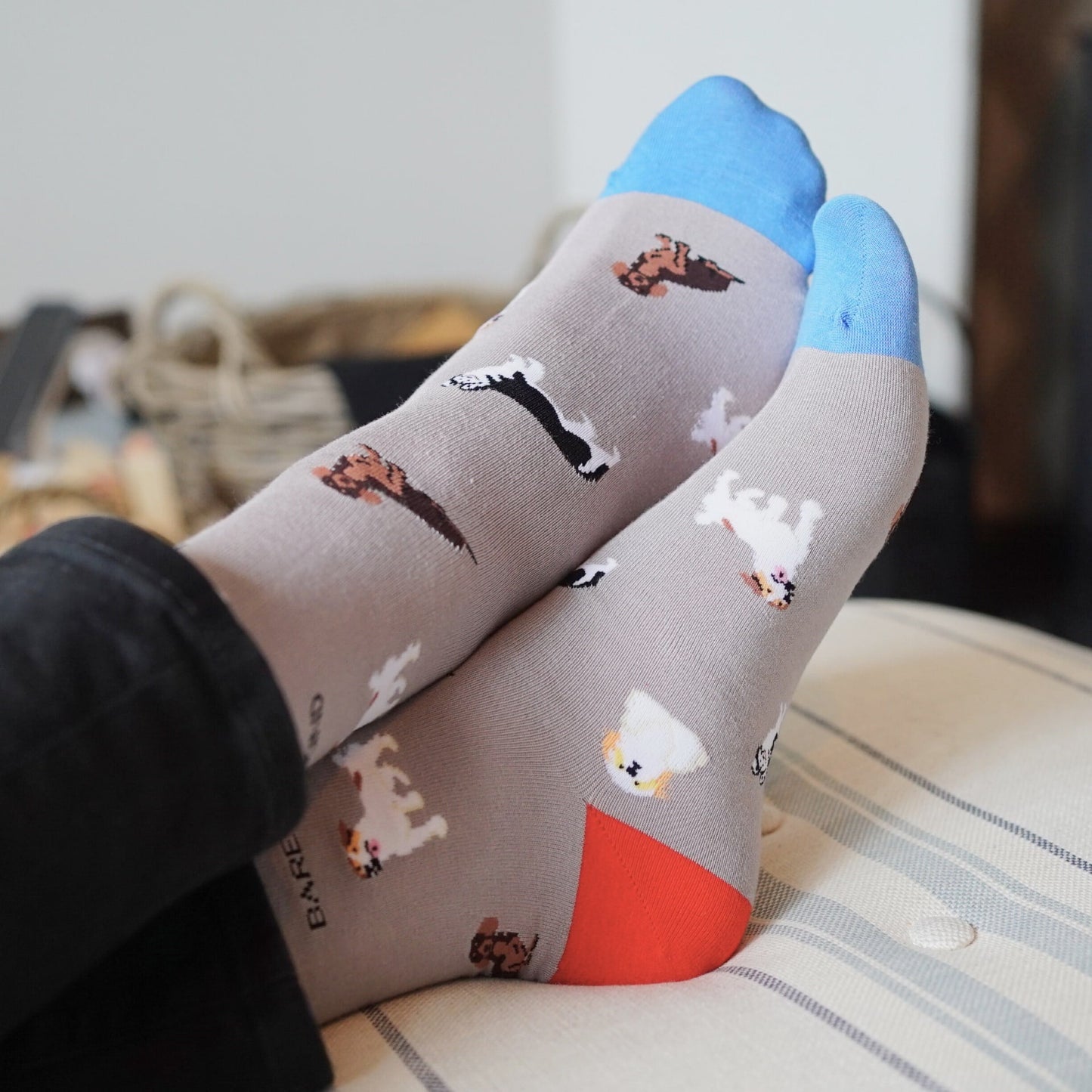 Enregistrez les chaussettes en bambou Grey Dog