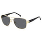 Ladies' Sunglasses Carrera CARRERA 3042_S
