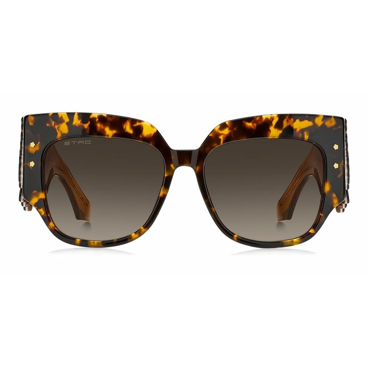 Ladies' Sunglasses Etro ETRO 0103_S