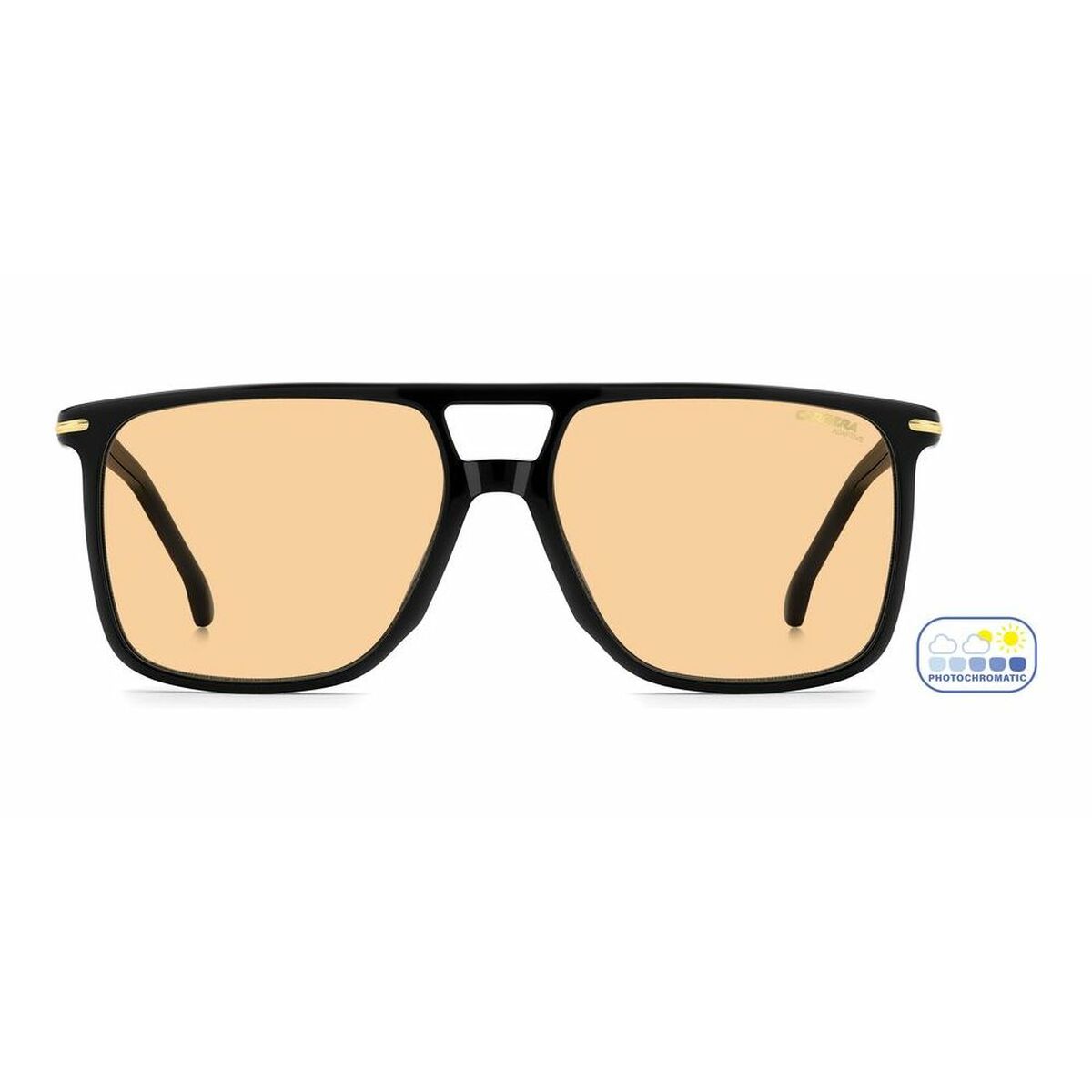 Men's Sunglasses Carrera CARRERA  366_S