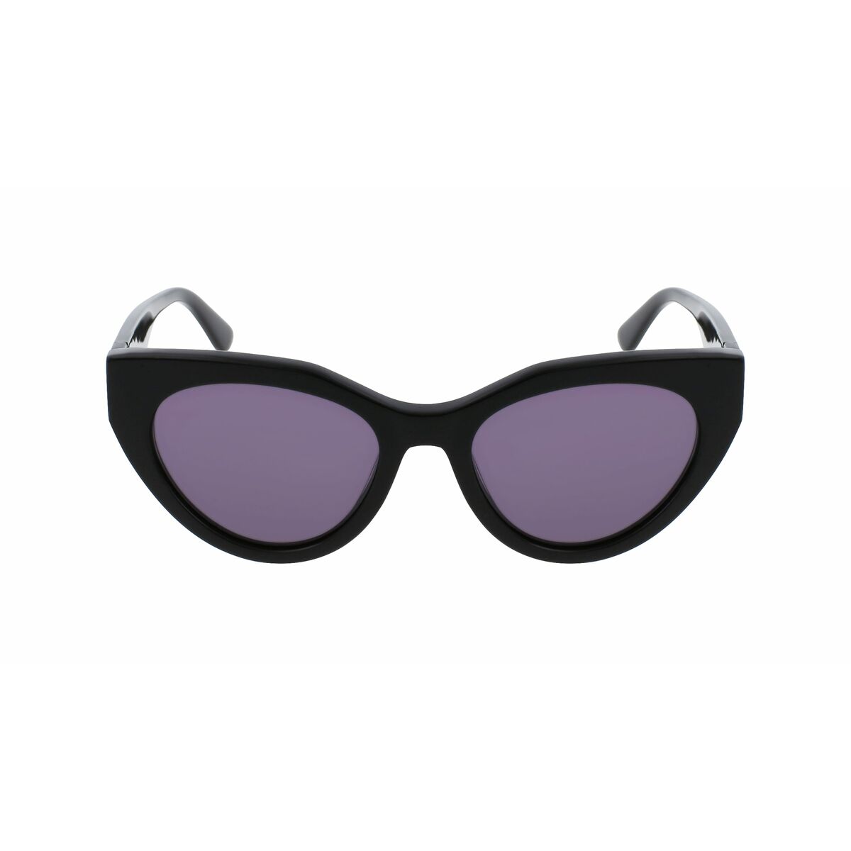 Ladies' Sunglasses Karl Lagerfeld KL6047S-001 Ø 52 mm