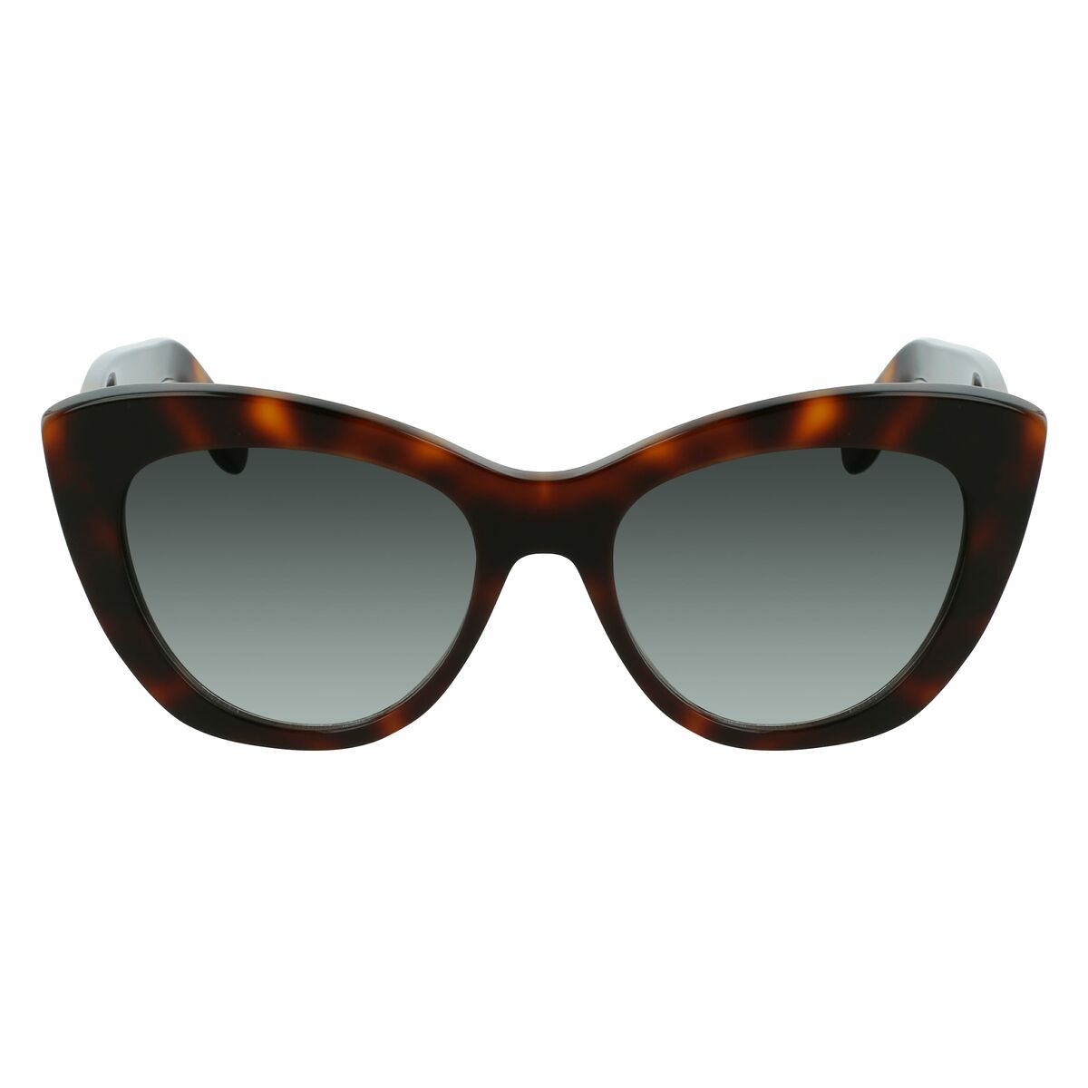 Ladies' Sunglasses Salvatore Ferragamo  SF1022S-214 Ø 53 mm