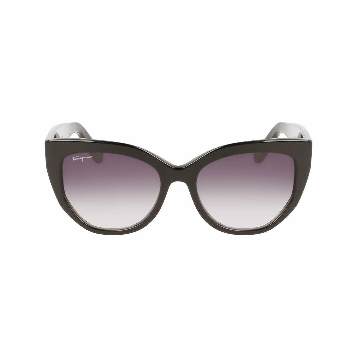 Ladies' Sunglasses Salvatore Ferragamo SF1061S-001 ø 56 mm