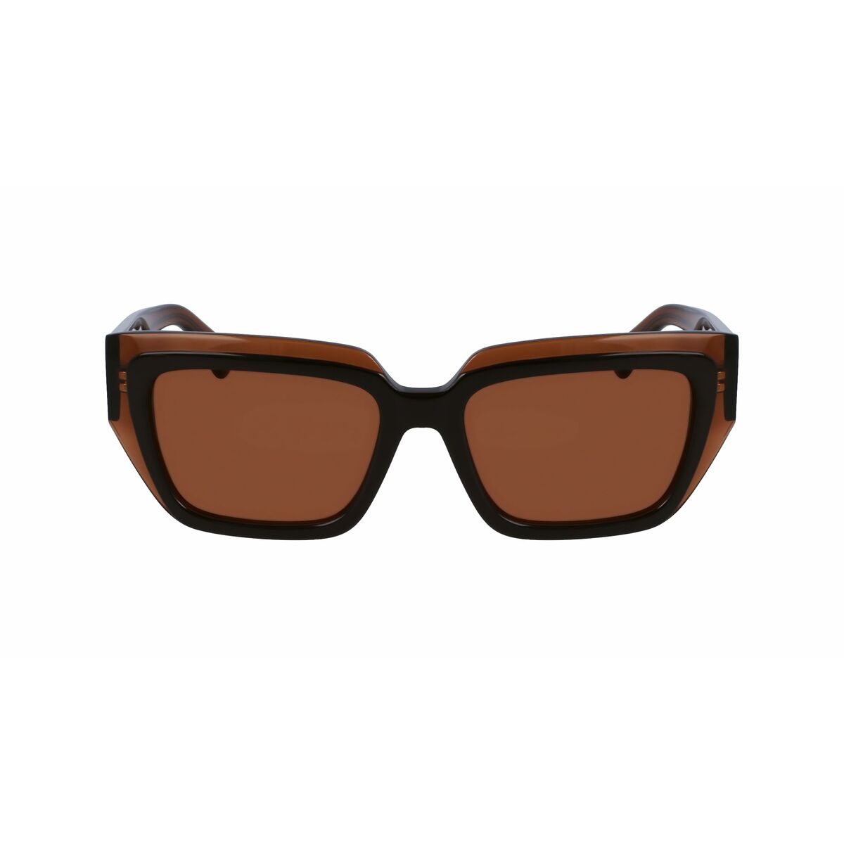 Ladies' Sunglasses Salvatore Ferragamo SF2002S-233 Ø 55 mm