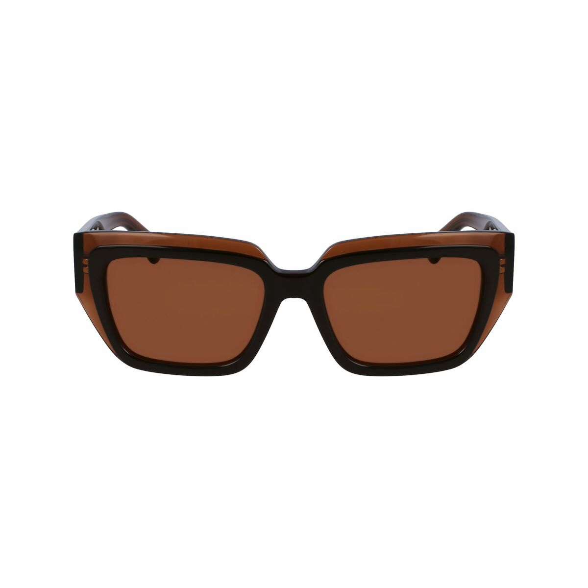 Ladies' Sunglasses Salvatore Ferragamo SF2002S-233 Ø 55 mm