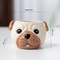 Ceramic Cartoon Animal Flowerpot Home Gardening