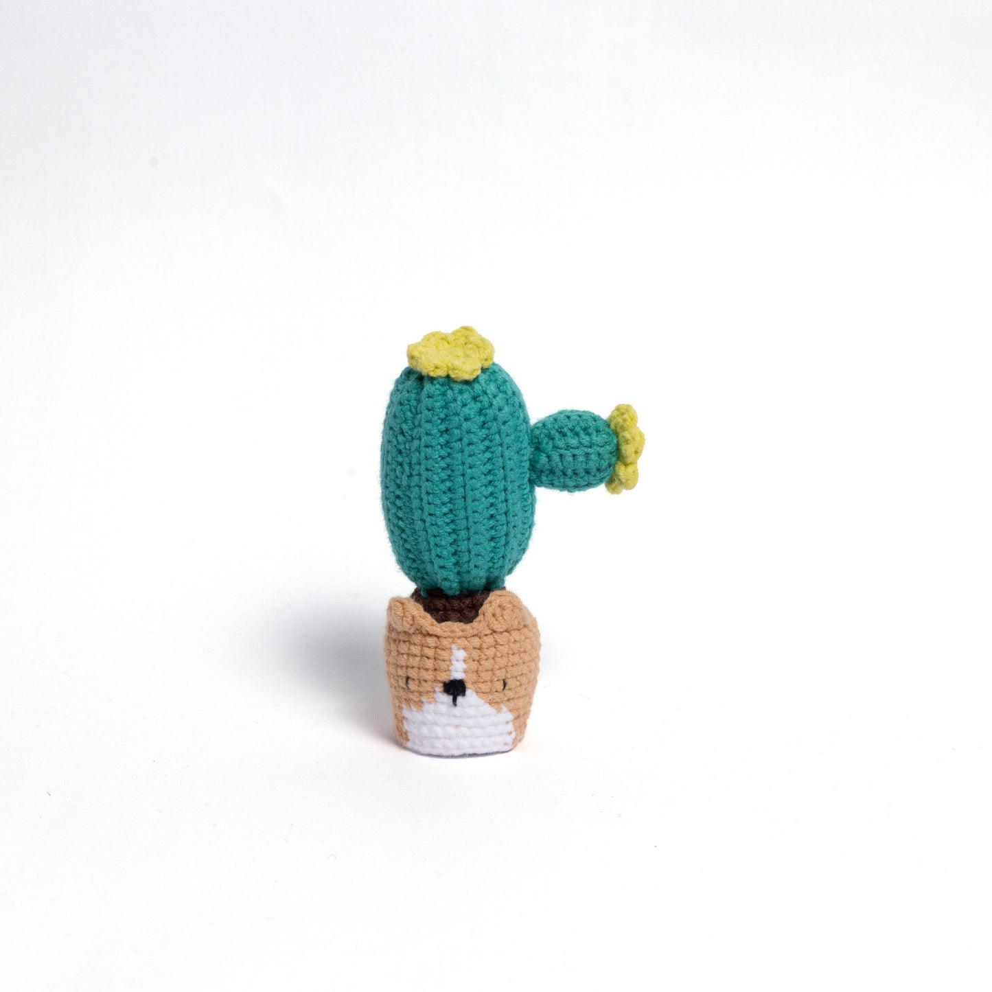 Irresistibly Cute Crochet Cactus Family – Lovable Succulent Amigurumi Plush Collection