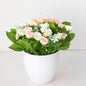 Artificial Flower Potting Decoration