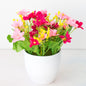 Artificial Flower Potting Decoration
