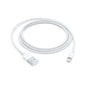 Apple Lightning to USB Cable (1m)