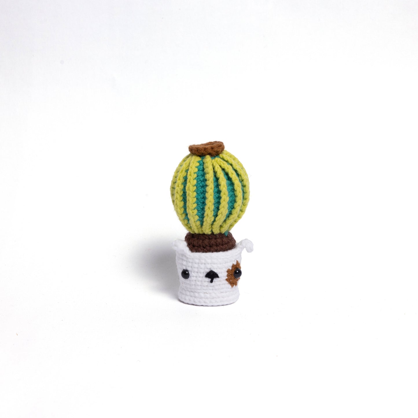 Irresistibly Cute Crochet Cactus Family – Lovable Succulent Amigurumi Plush Collection