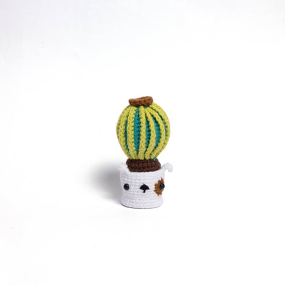 Irresistibly Cute Crochet Cactus Family – Lovable Succulent Amigurumi Plush Collection