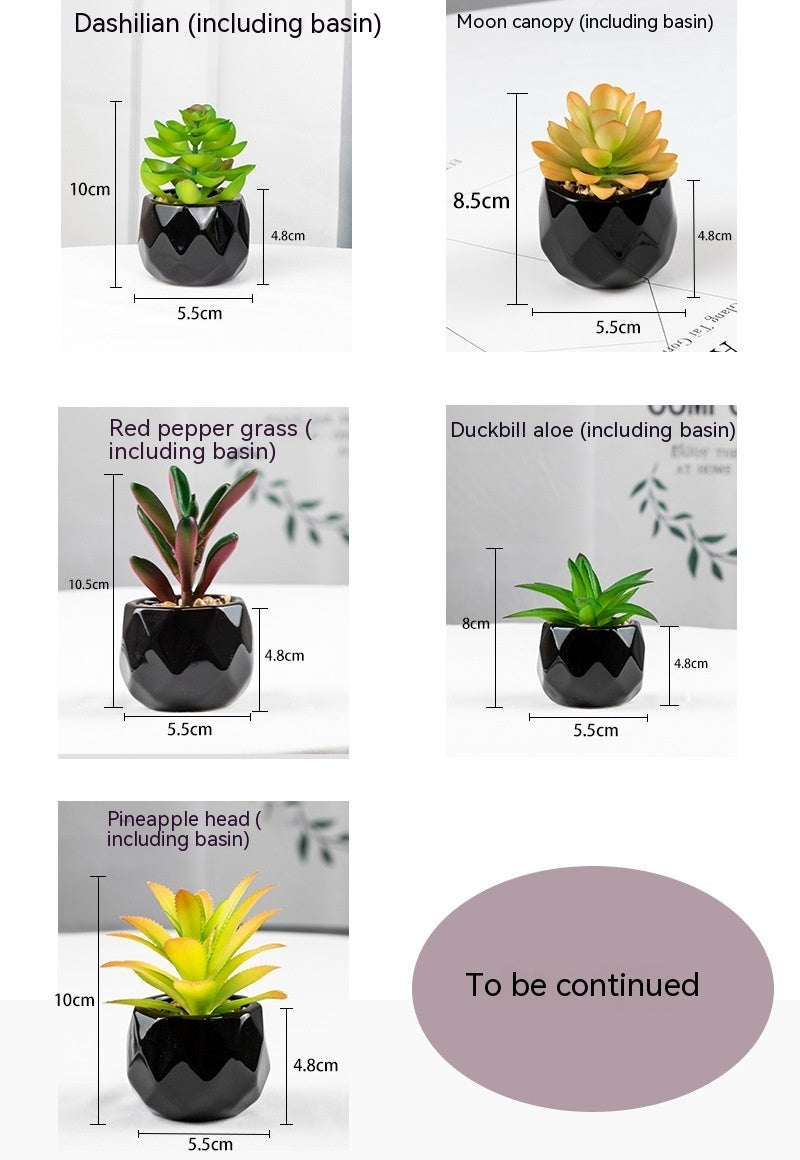 Artificial Green Plant Succulent