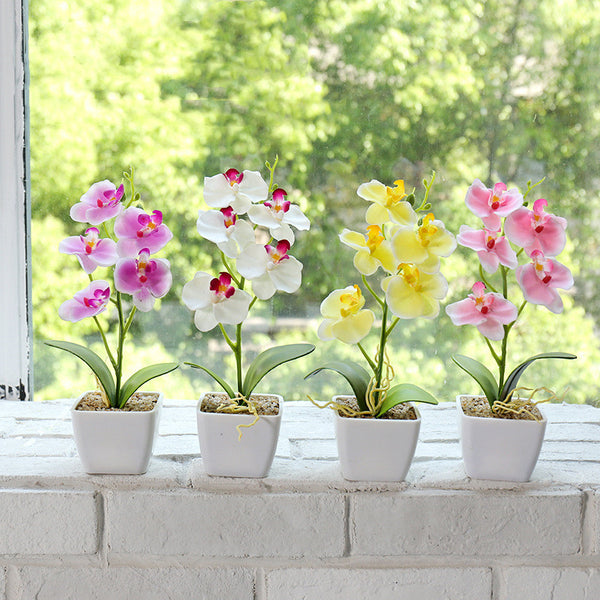 Creative Simulation Flower Phalaenopsis Bonsai - Stuffs & Savers