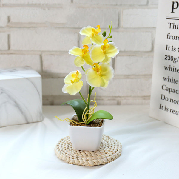 Creative Simulation Flower Phalaenopsis Bonsai - Stuffs & Savers