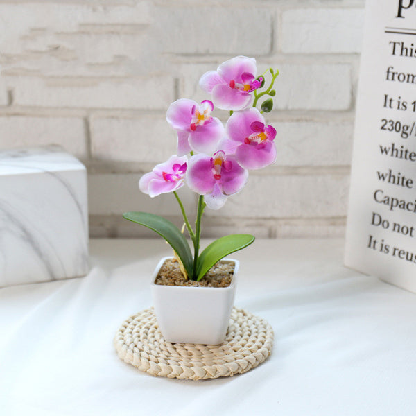 Creative Simulation Flower Phalaenopsis Bonsai - Stuffs & Savers