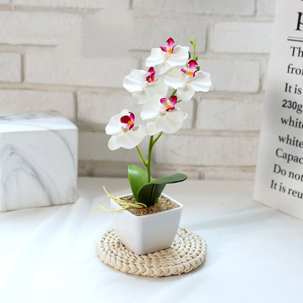 Creative Simulation Flower Phalaenopsis Bonsai - Stuffs & Savers