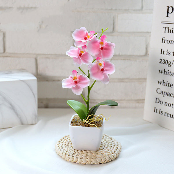 Creative Simulation Flower Phalaenopsis Bonsai - Stuffs & Savers