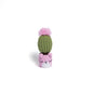 Irresistibly Cute Crochet Cactus Family – Lovable Succulent Amigurumi Plush Collection