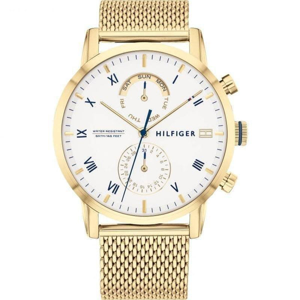 Tommy Hilfiger Unisex Harrison TH1710403