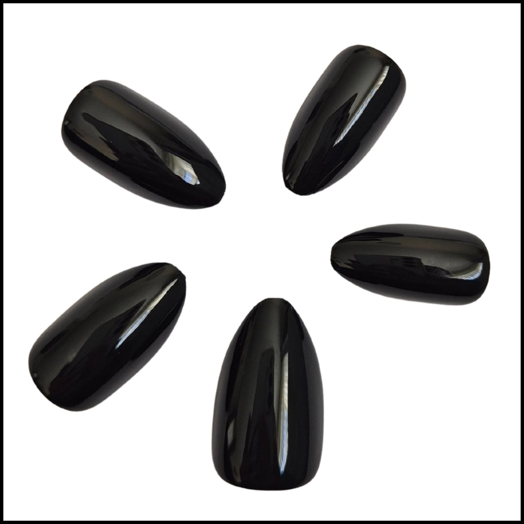 Flexies - Midnight Muse