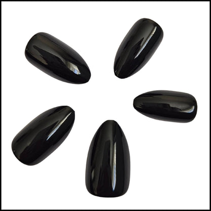 Flexies - Midnight Muse