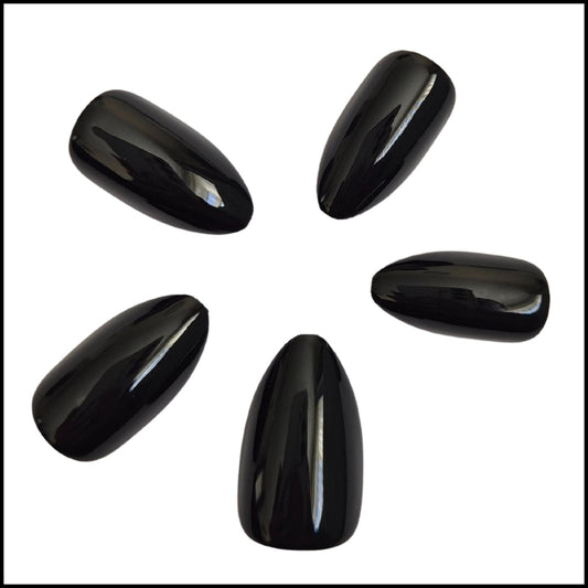 Flexies - Midnight Muse