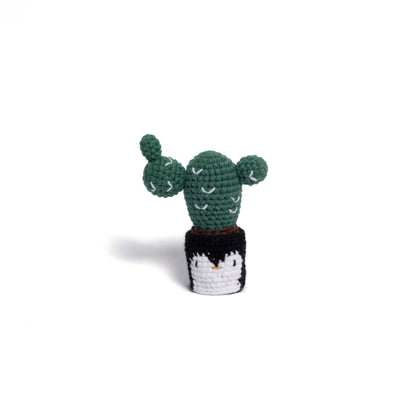 Irresistibly Cute Crochet Cactus Family – Lovable Succulent Amigurumi Plush Collection