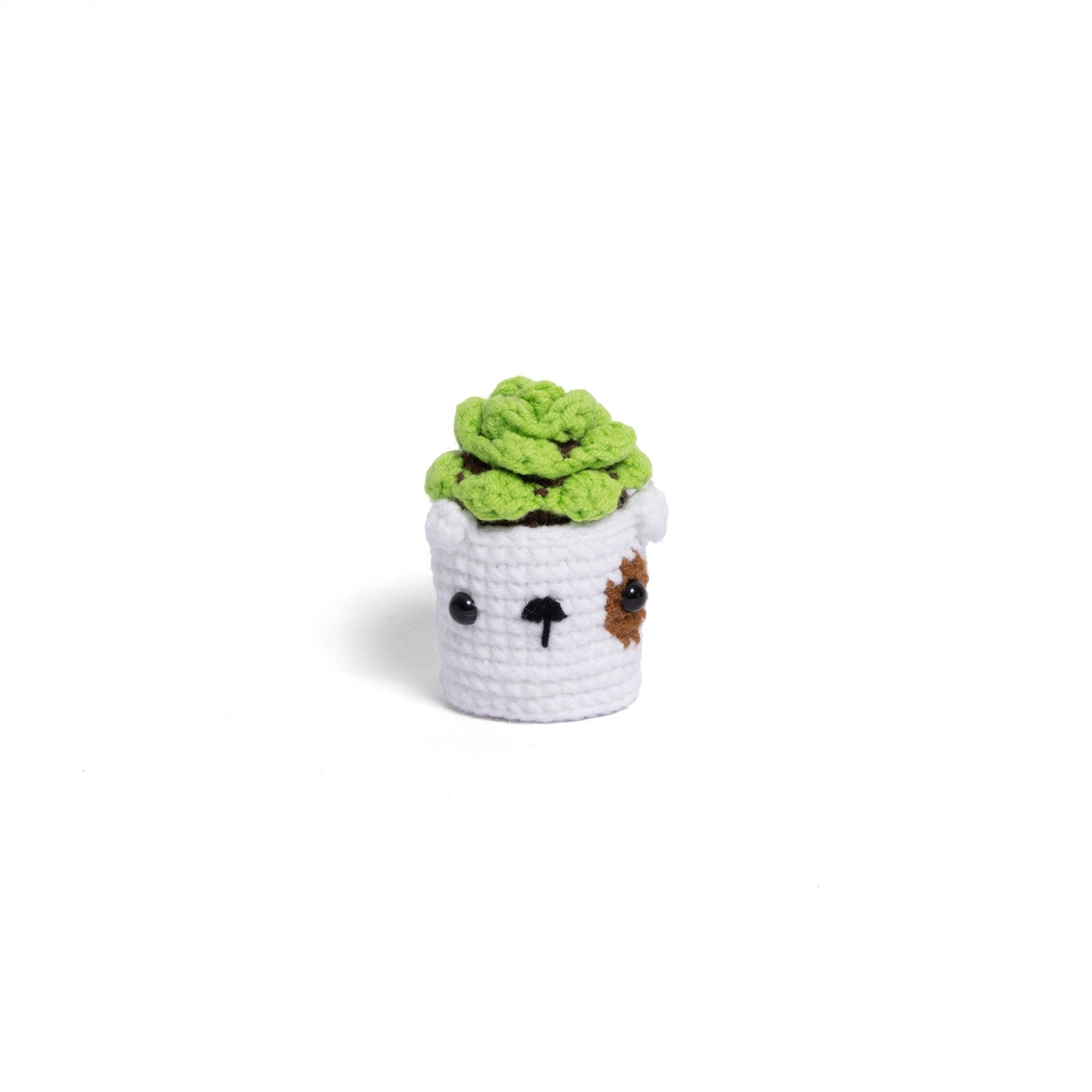 Irresistibly Cute Crochet Cactus Family – Lovable Succulent Amigurumi Plush Collection