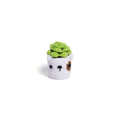 Irresistibly Cute Crochet Cactus Family – Lovable Succulent Amigurumi Plush Collection