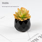 Artificial Green Plant Succulent