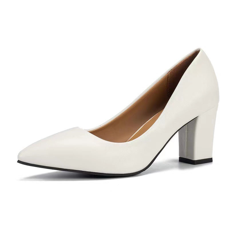 Women's Chunky Heel Pointed Work Shoes