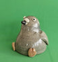 City Pigeon