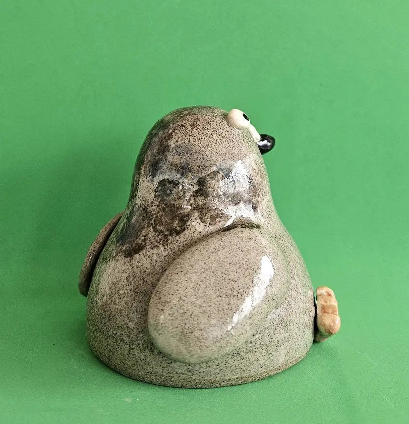 City Pigeon