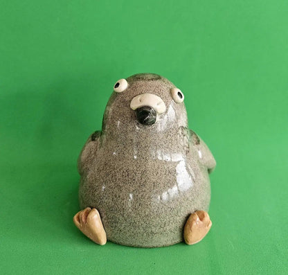 City Pigeon