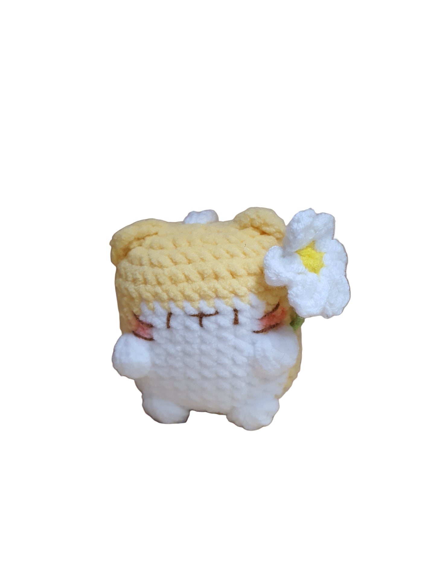 Little Square Cute Kitten Collection