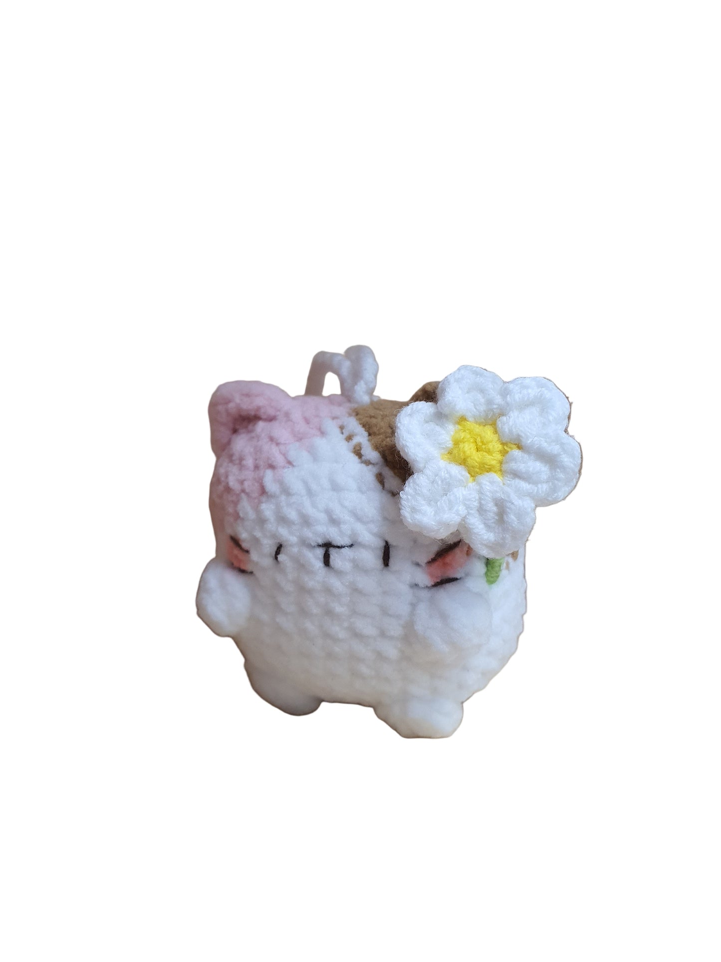 Little Square Cute Kitten Collection