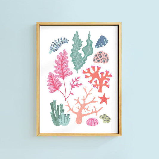 CORAL COLLECTION PRINT